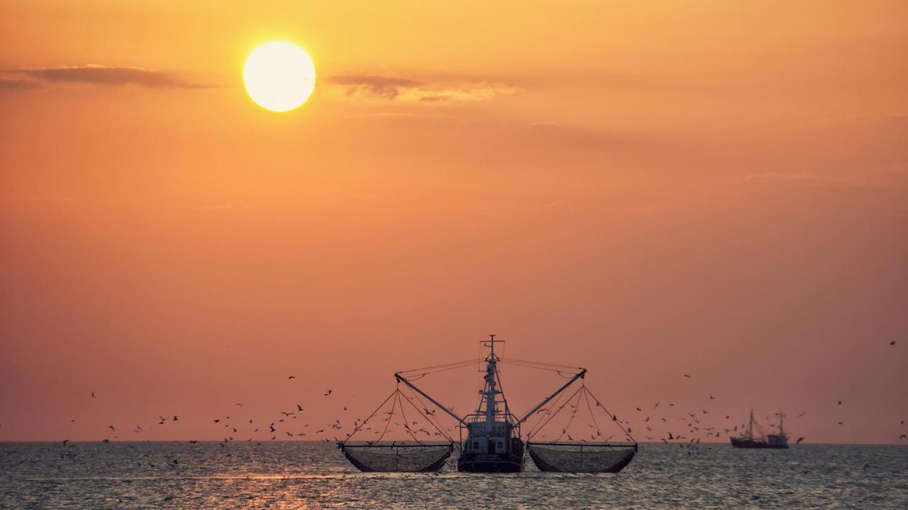 Ferienhus #2 Nordfriesland Daire Mildstedt Dış mekan fotoğraf